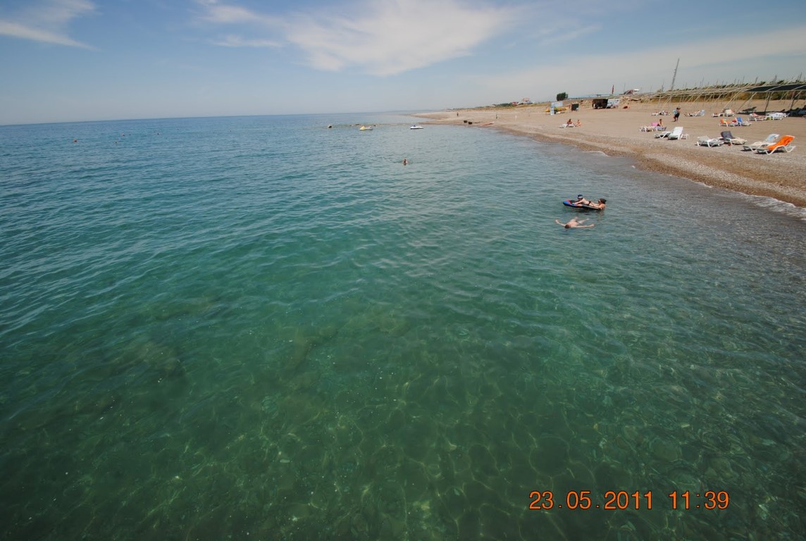 imagini hotel AMELIA BEACH RESORT SIDE